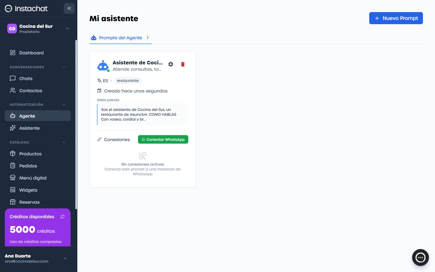 El prompt: acá le contás a qué te dedicás y qué no debe decir